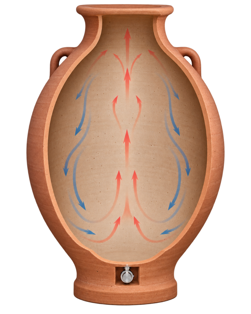 Corte de uma ânfora de terracota em formato de ovo mostrando a convecção do vinho na fermentação: o vinho quente sobe pelo centro e desce pelas paredes